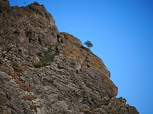 Dacian fortress of Cozia