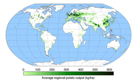 Patàtta: Etimologîa, Descriçión, Distriboçión e habitat