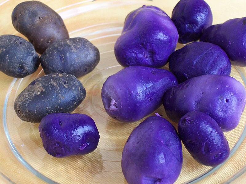 File:Potatoes Vitelotte.jpg