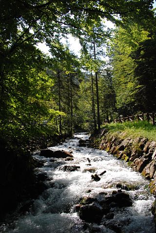 <span class="mw-page-title-main">Stream</span> Body of surface water flowing down a channel