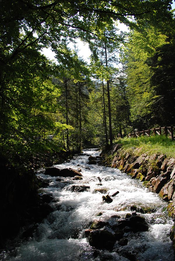 Rocky stream in Italy