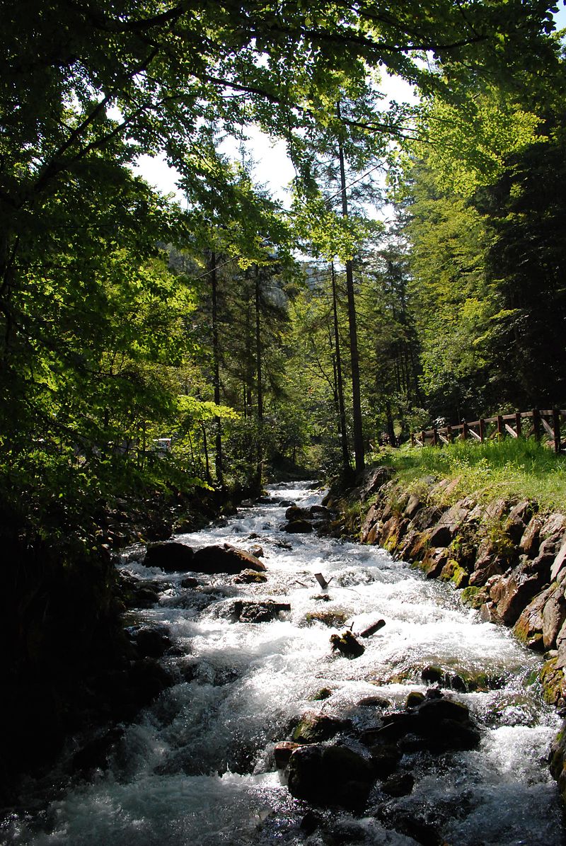 The Different Parts of a Stream