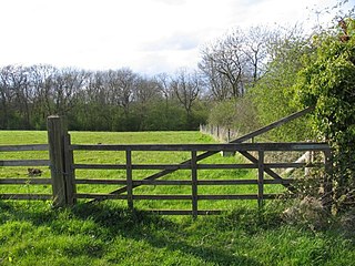 <span class="mw-page-title-main">Prior's Coppice</span>