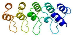 Белок CDKN2D PDB 1bd8.png