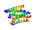 Thumbnail for Neuropeptide Y receptor Y1