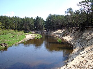 The Luciąża near Przygłów