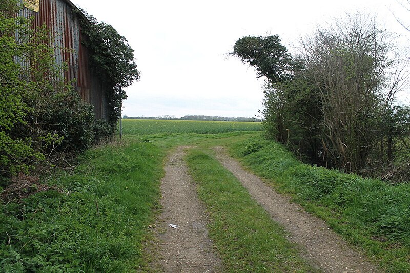 File:Public footpath and Track off Cow Gate - geograph.org.uk - 2905065.jpg