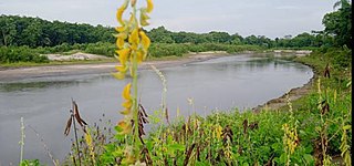 <span class="mw-page-title-main">Puthimari River</span> River in Assam, India