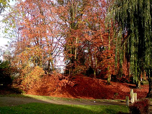 Fallende Blätter im Rencks Park Neumünster