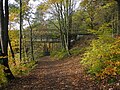 Wanderweg in Herbstfarben