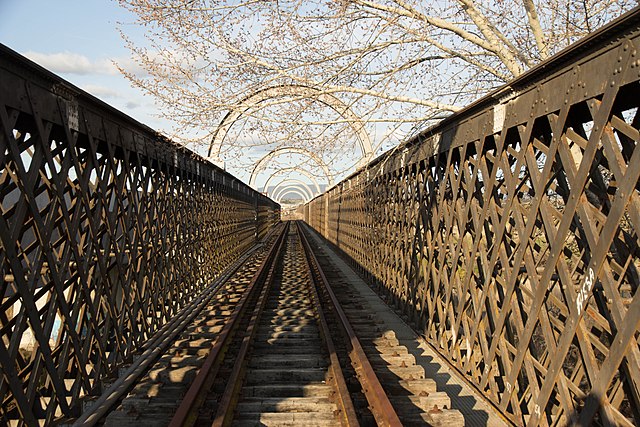 Image: Railway bridge over the Macquarie River, Bathurst 1