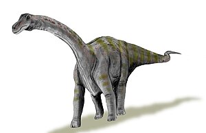 Live graphic representation of Rapetosaurus