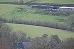 Миниатюра для Файл:Red Kite near Defynnog - geograph.org.uk - 4249466.jpg