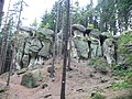 Reserve - Boulders of dwarfs - panoramio (1).jpg