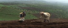 Datei:Rice-Terrace.theora.ogv