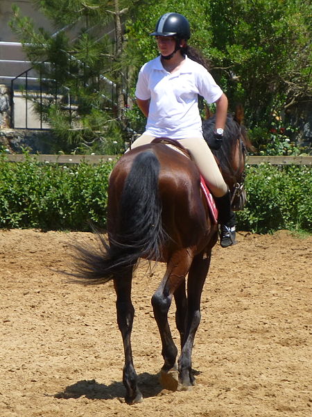 File:Riding a Horse Backwards 1110819.jpg