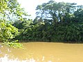 Rio Jaguari - Cosmópolis, Br - panoramio.jpg