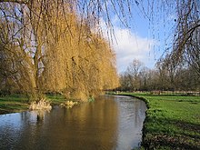 River Blackwater - geograph.org.uk - 122449.jpg