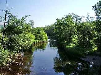 River Cocker