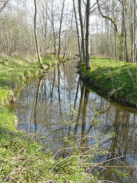 File:RivièreGuesle.jpg