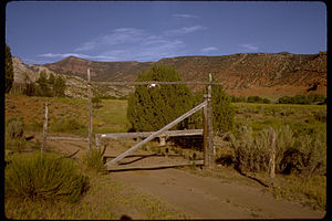 Rocky Mountain National Park ROMO9070.jpg