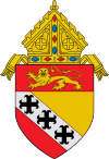 Roman Catholic Diocese of Charleston.svg