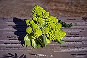 Bilder vom Romanescu, Romanesco