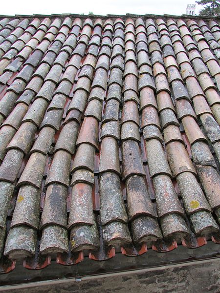 File:Roof Tiles 10-07 to 22 423.jpg