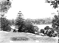 Royal Botanic Garden c. 1908. (Source: State Library of NSW) Royal Botanic Gardens c.1908 (4975025185).jpg