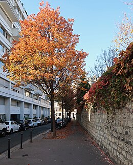 A Rue Parent-de-Rosan cikk illusztráló képe