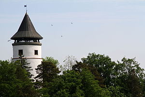 Ruine Hohenbodman Bergfried.jpg