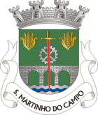 Wappen von Campo (São Martinho)