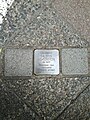 Stolperstein Adelungstraße 49 in Darmstadt am 21. Juni 2018 um 12:29 Uhr