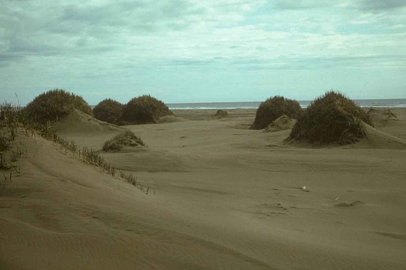 File:Sand dunes on Nunivak island.jpg