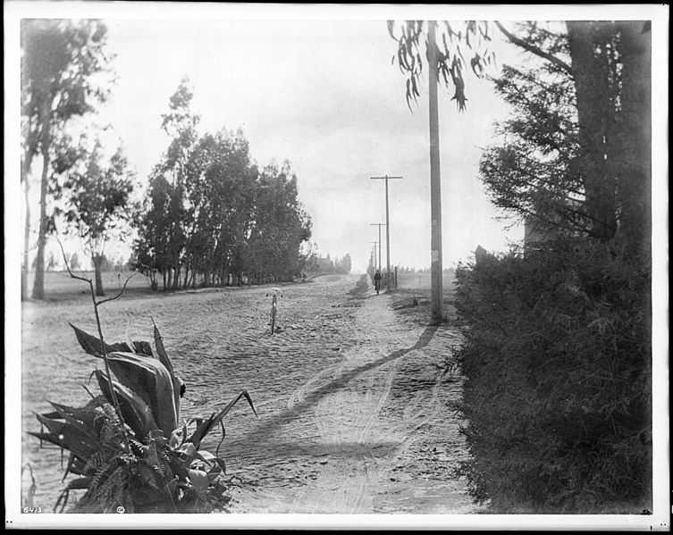 File:Santa Monica Cycle Path on Washington Boulevard at Western Avenue, looking west, Los Angeles, June 1900 (CHS-6413).jpg