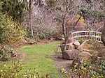 Sayen Park Botanical Garden - Jepang bridge.JPG