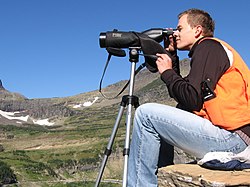 Scanning the cliffs near Logan Pass for mountain goats (Citizen Science) (4427399123).jpg