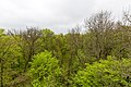 * Nomination View from the Baumkronenpfad in the Hainich National Park near Schönstedt, Thuringia, Germany --XRay 03:28, 22 May 2017 (UTC) * Promotion  Support Good quality.--Agnes Monkelbaan 04:25, 22 May 2017 (UTC)