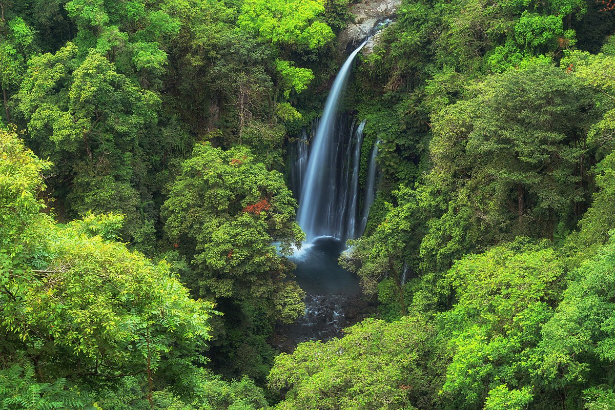  Air Terjun Tiu Kelep Wikipedia bahasa Indonesia 