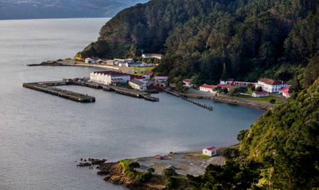 Shelly Bay