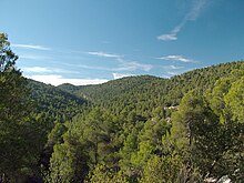 A Mediterranean forest, in the Region of Murcia (Spain). Sierra de Burete.JPG