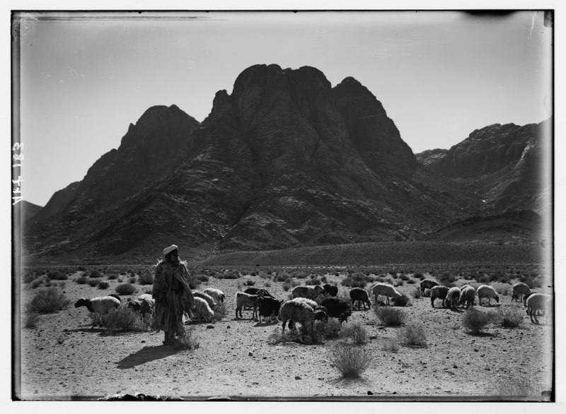 File:Sinai. Gebel Mousa. LOC matpc.05411.tif