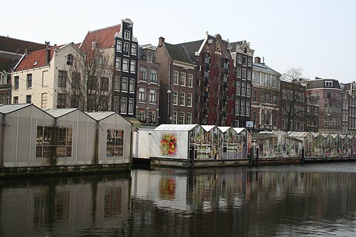 Bloemenmarkt things to do in Roeterseiland