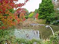 Charca en el Sir Harold Hillier Gardens and Arboretum.