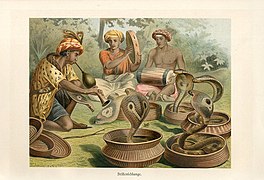 Snakecharmers by Alfred Brehm (chromolithograph).jpg