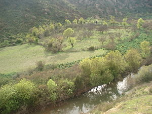 Souk-ahras Gardens.jpg