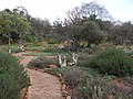 South Africa-Pretoria-National Botanical Gardens03.jpg