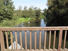 Blick von der Spreebrücke Werder über die geschützte Flussaue der Spree