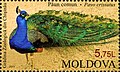 Stamps of Moldova, 2013-14.jpg