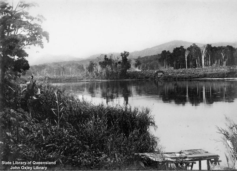 File:StateLibQld 2 129567 North branch of the Johnstone River, Geraldton, Queensland,1902 -1905.jpg